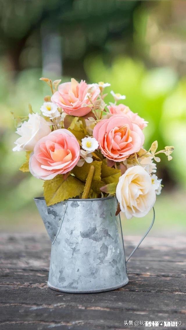 过年见女方家人,带什么礼物,有点内向,怎么交流呀