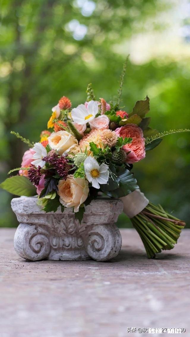 过年见女方家人,带什么礼物,有点内向,怎么交流呀