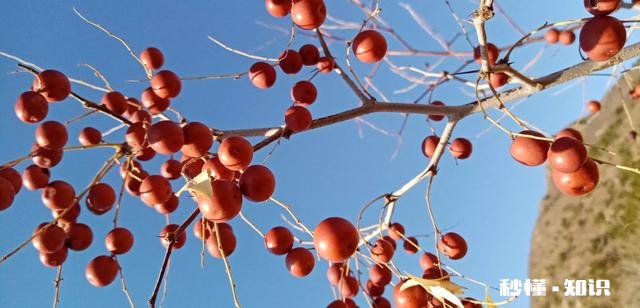 《口才三绝》含义是什么