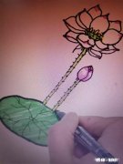 荷花怎么画简单又漂亮