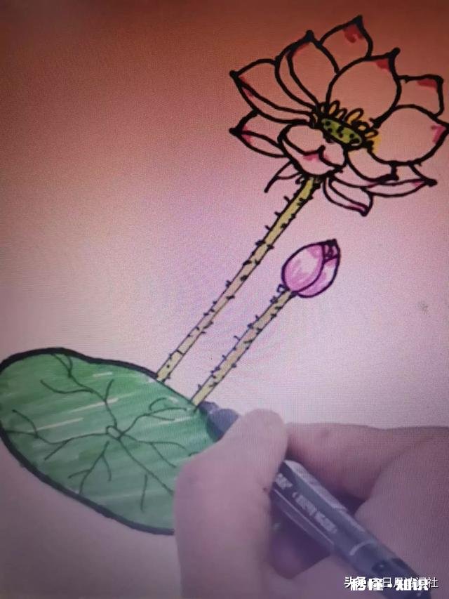 荷花怎么画简单又漂亮