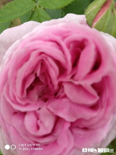 大家觉得古装剧和现代剧哪个更吸引人有何依据