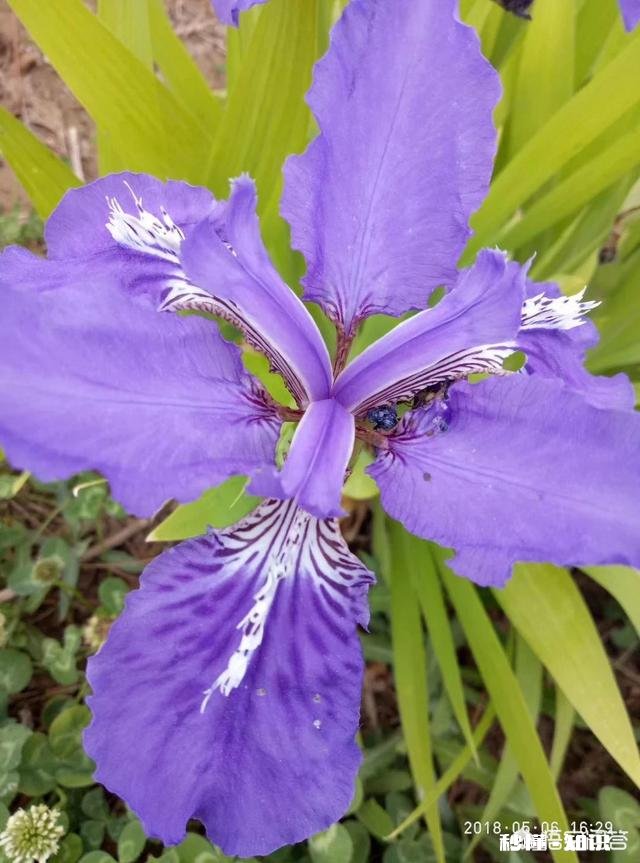 大家觉得古装剧和现代剧哪个更吸引人有何依据