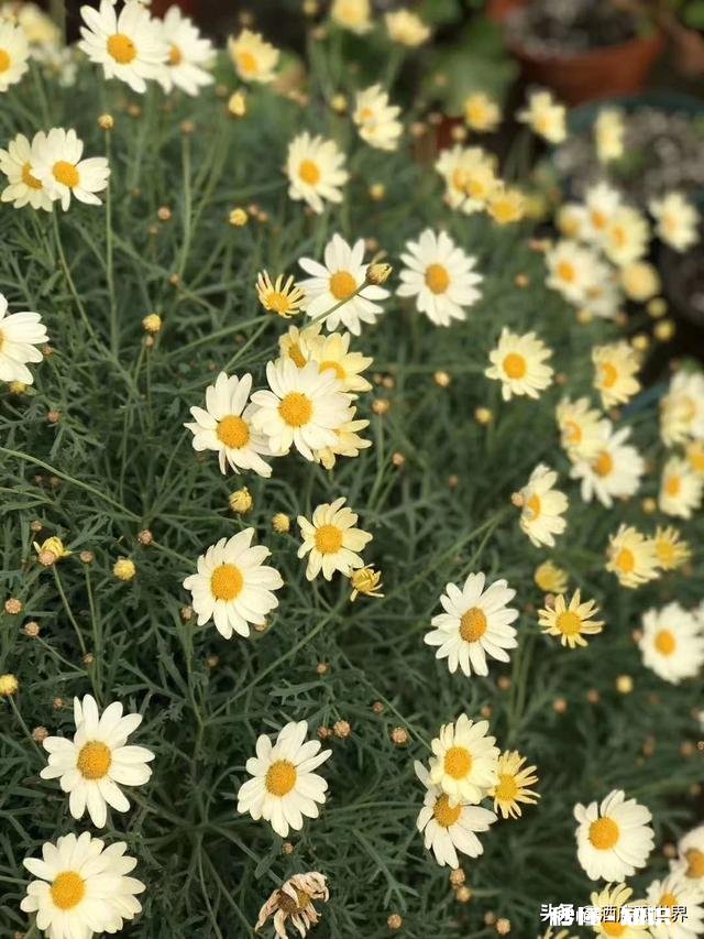 公立医院就诊体验好，还是私立医院体验好为何