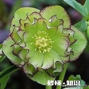 怎样和陌生女性打招呼，回复率才高