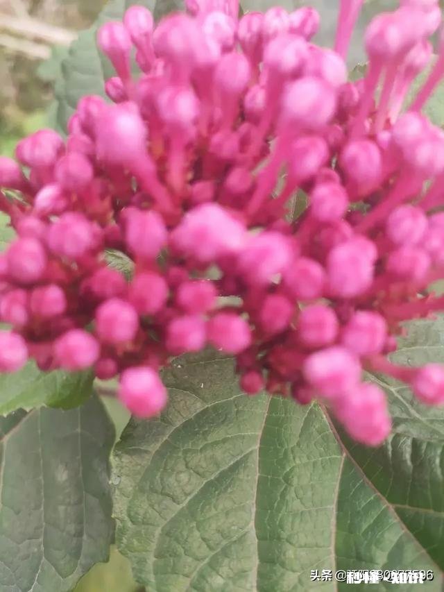 怎样和陌生女性打招呼，回复率才高