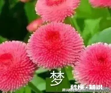 怎样和陌生女性打招呼，回复率才高