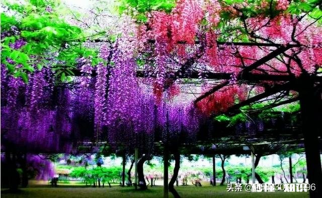 怎样和陌生女性打招呼，回复率才高