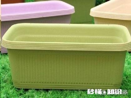 土豆发芽怎么办只能扔掉吗