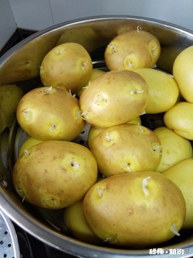 土豆发芽怎么办只能扔掉吗