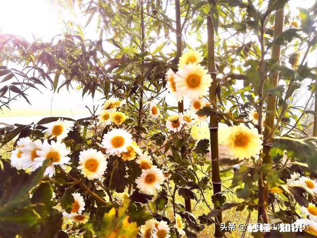 2019年很快就要过去了，你如何评价自己的2019