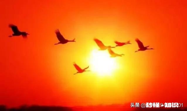 2019年很快就要过去了，你如何评价自己的2019