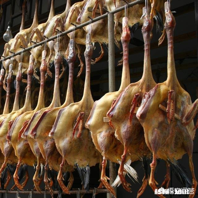 农村制作腊鸭子是用老鸭还是新鸭，哪种要好，具体怎么做