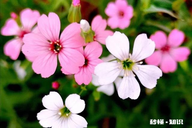 你会经常将自己的想法写下来吗，感受如何