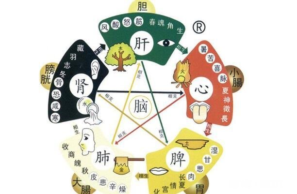 都说春养肝，夏养心，秋养肺，冬养肾，冬天了您有什么好的养肾方法吗