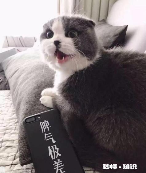 脾气真的可以改变吗