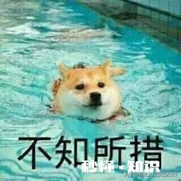 有人说“人，在微信朋友圈，最好不要炫耀、不要秀恩爱、不要倾泄负能量”对此你怎么看