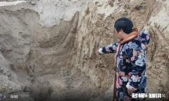 河南4个小孩子被埋的真相是什么为什么记者被打