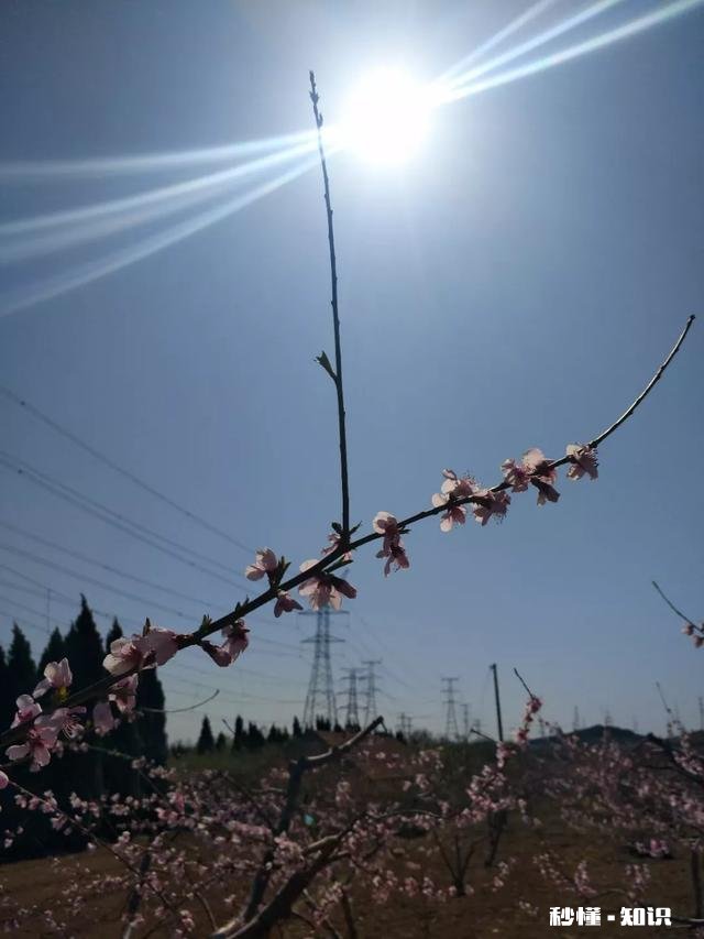 同学和全班同学说我坏话，让他们不给我玩，该怎么办，被颠倒黑白怎么办