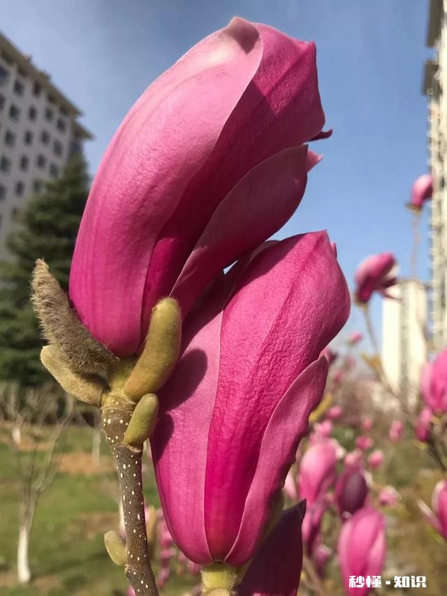 同学和全班同学说我坏话，让他们不给我玩，该怎么办，被颠倒黑白怎么办