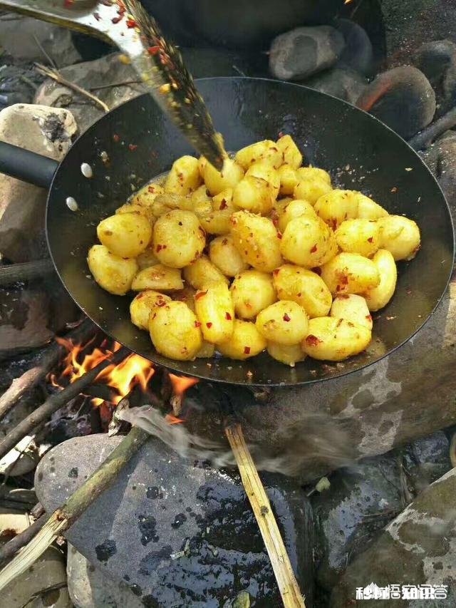 哪里有优良品种土豆可买