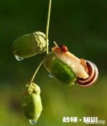 如果到年龄了，恐惧结婚，怎么克服