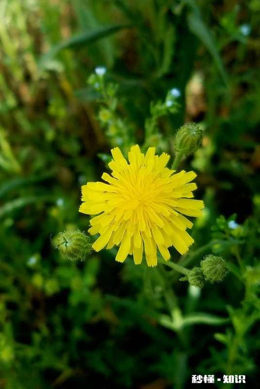 为什么懂事的孩子总是不快乐