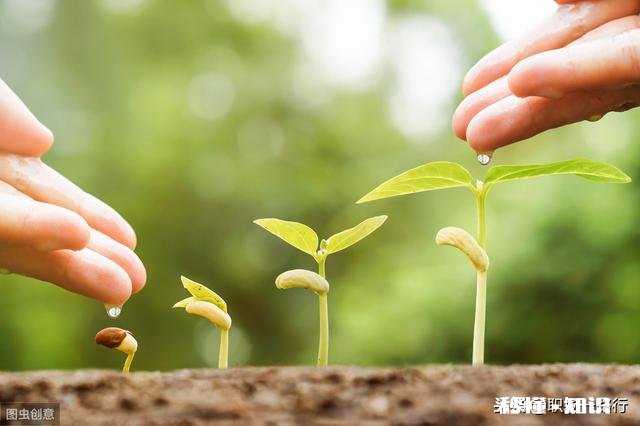在背处分和求生存两者之间，你宁愿狠心选择什么为什么