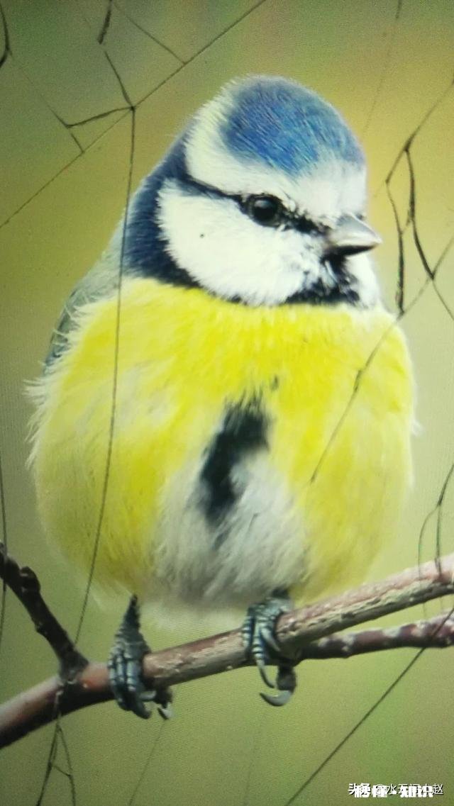 在背处分和求生存两者之间，你宁愿狠心选择什么为什么