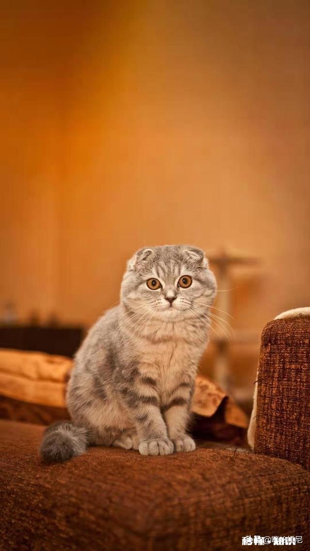 在背处分和求生存两者之间，你宁愿狠心选择什么为什么