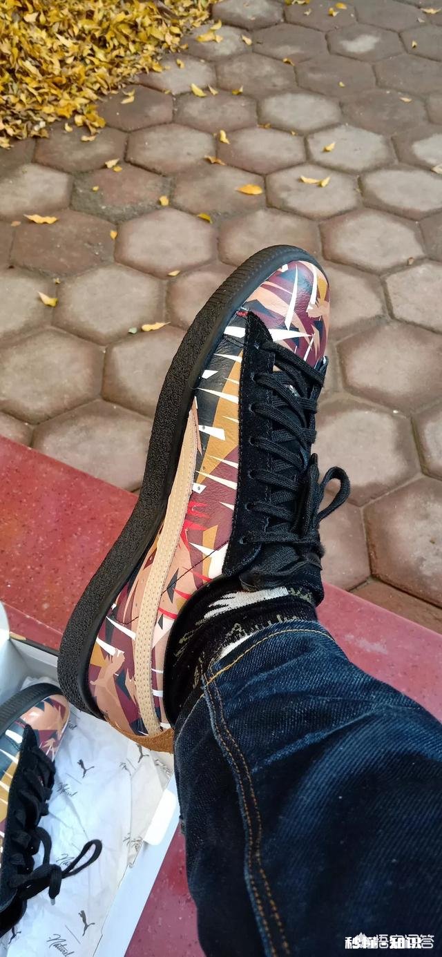 你们最喜欢PUMA的哪一款鞋