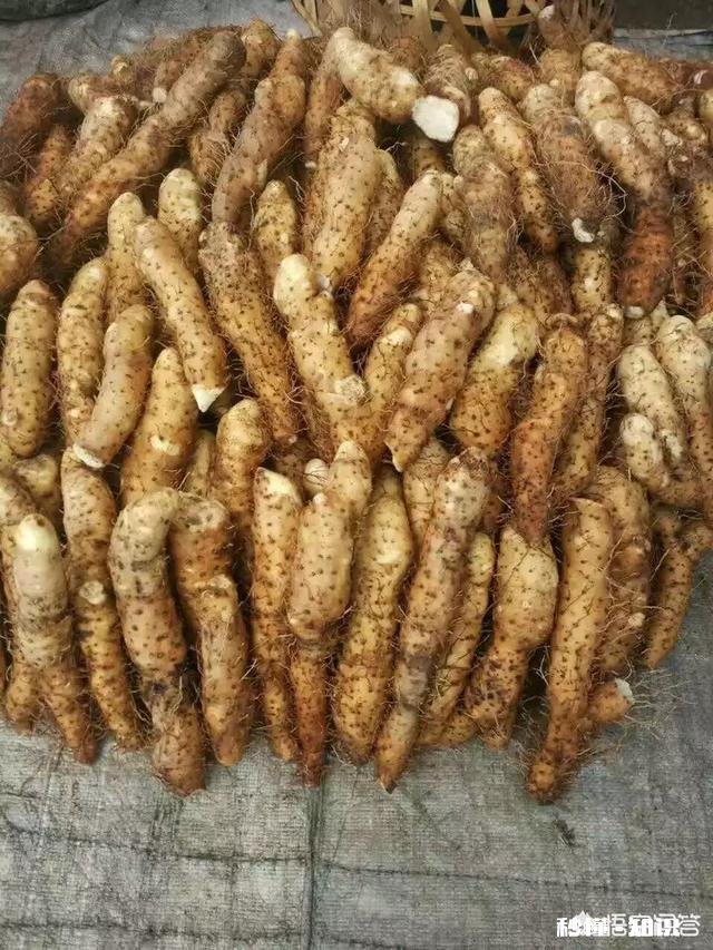 夏天不想吃饭的你们都在吃什么零食