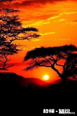 一个人的强大从情绪开始，你赞同吗