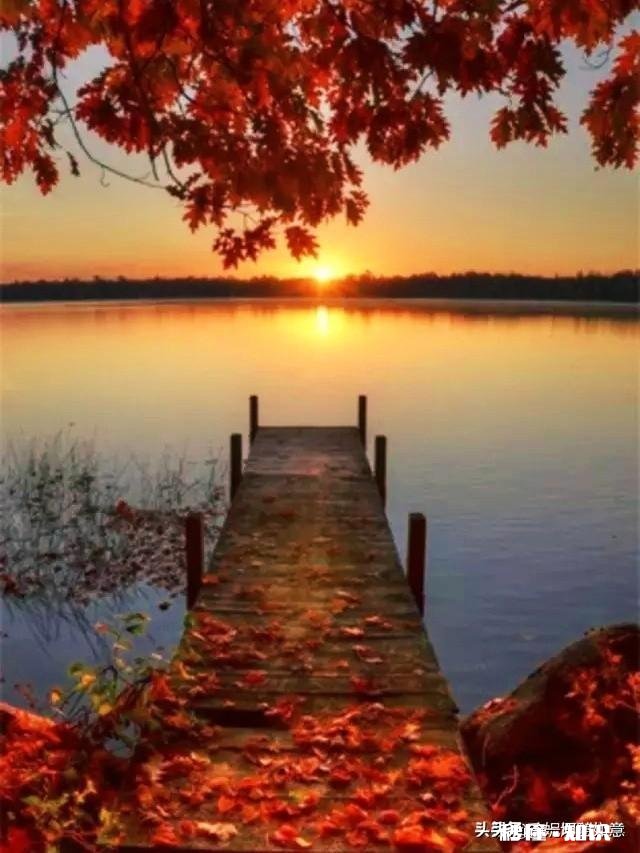 一个人的强大从情绪开始，你赞同吗