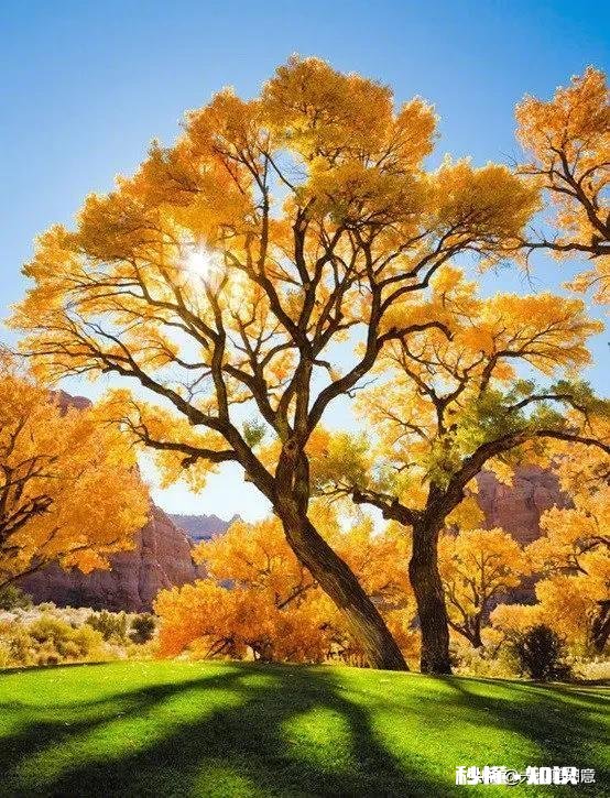 一个人的强大从情绪开始，你赞同吗