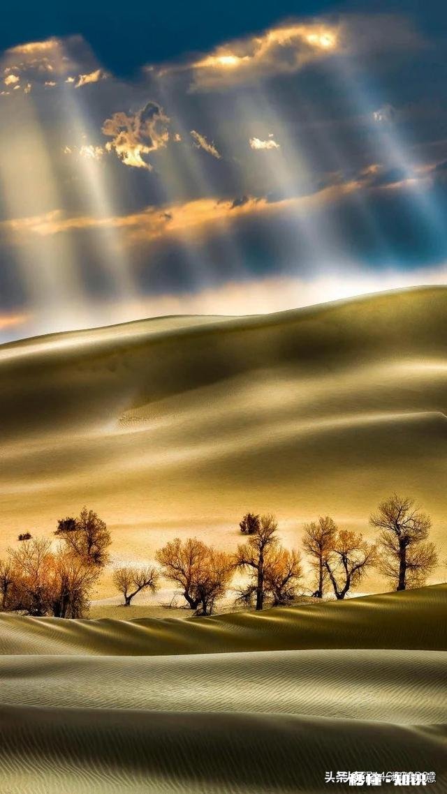 一个人的强大从情绪开始，你赞同吗