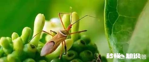 如何定义微商这个群体