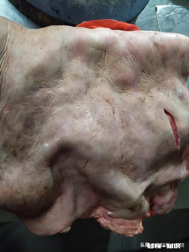 什么样的牛肉最好吃