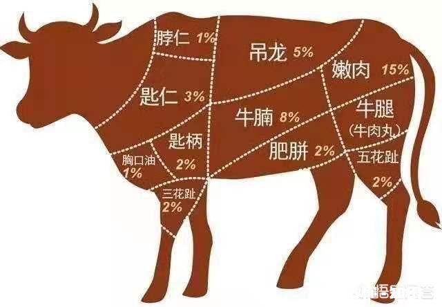 什么样的牛肉最好吃