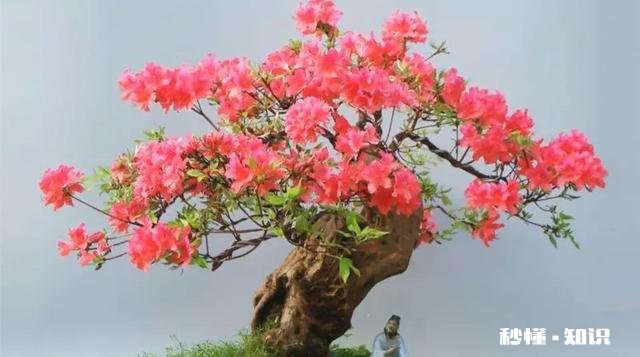 女朋友不听话,很执拗咋办