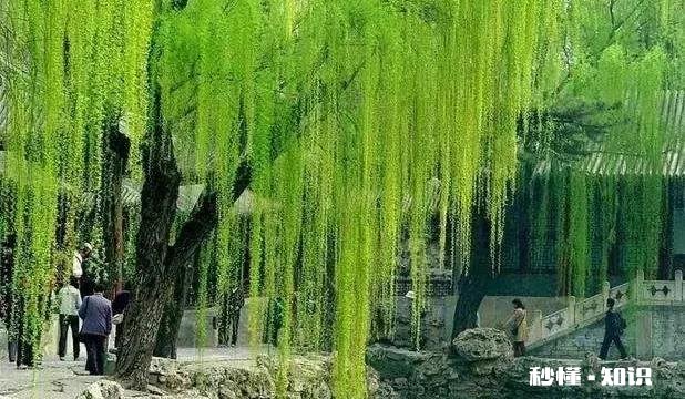 女朋友不听话,很执拗咋办