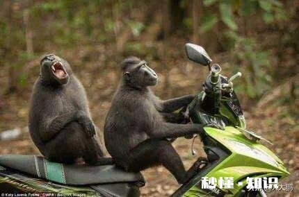 女朋友不听话,很执拗咋办