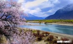 性格软弱，明知上级故意针对找茬也不想彻底翻脸，该用怎样的心态面对才能安心工作呢