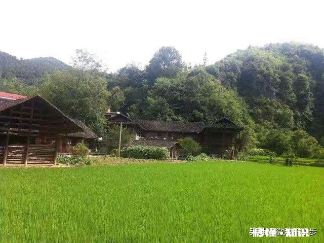 又到年底了，大家压力大吗千里迢迢回家过年，这样好吗，为什么