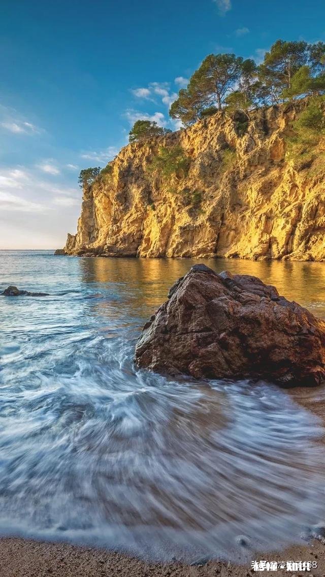 工作，社交障碍怎么办,越来越喜欢一个人独处