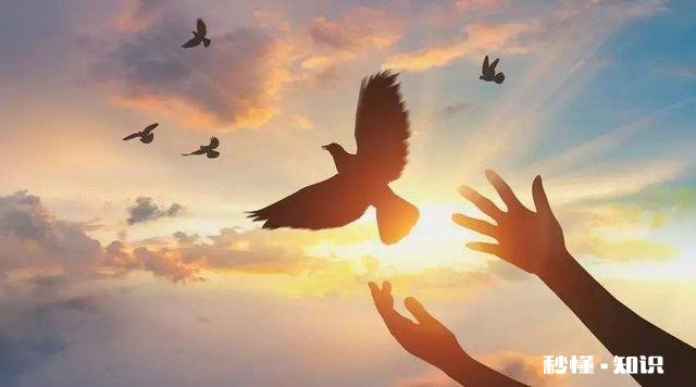 你觉得你这辈子活的精彩吗