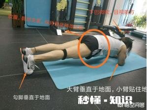 平板支撑练腹肌真的有用