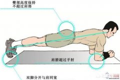 平板支撑练腹肌真的有用
