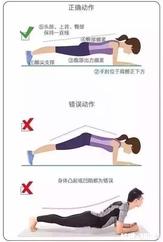 平板支撑练腹肌真的有用