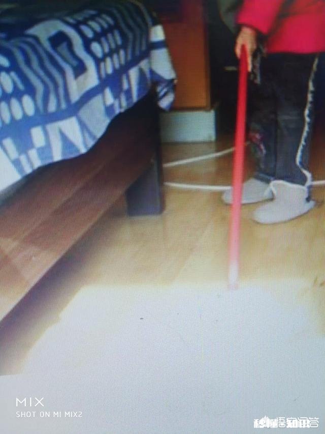 家里每周搞一次卫生，细菌会很多吗